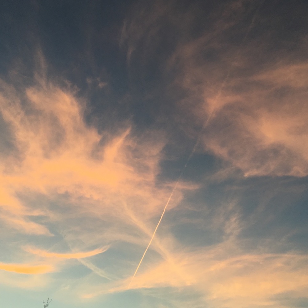 Meet your Posher, Jacklyn